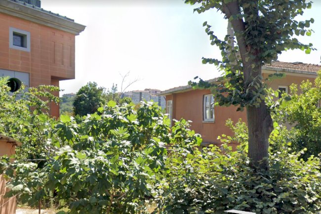 Arnavutköy Konakları- Kültür